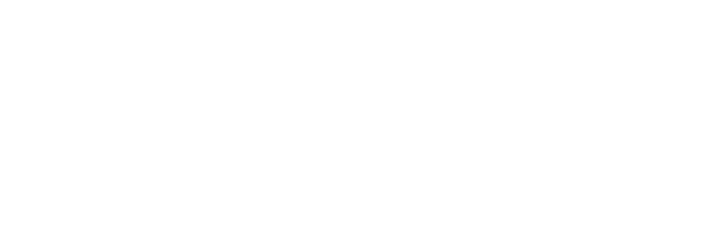 Bellevue Home Remodel